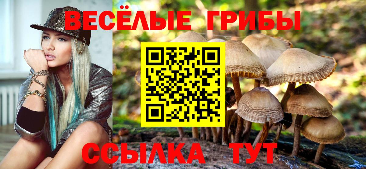 Псилоцибиновые грибы ЛСД  наркошоп  Югорск  Вход с VPN 
